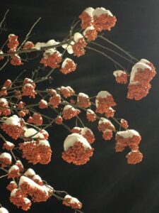 雪の積もるナナカマド